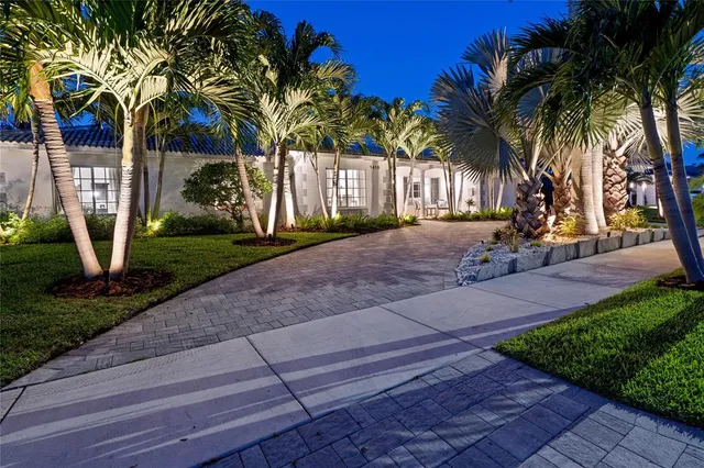 a view of a backyard with palm trees