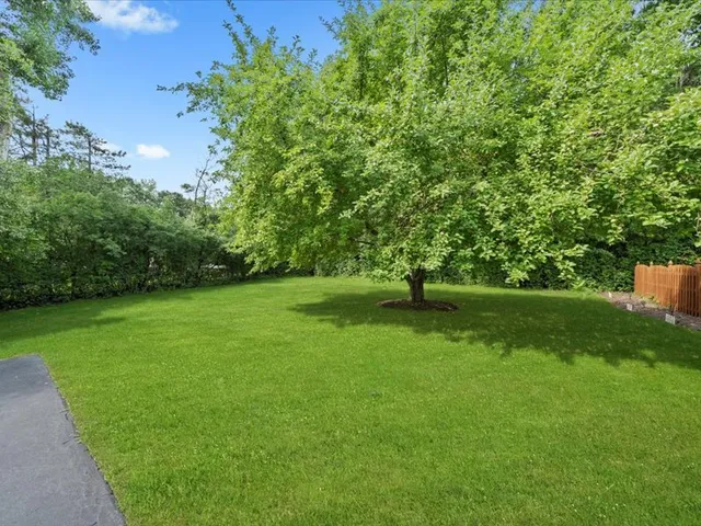 a view of a grassy field with trees