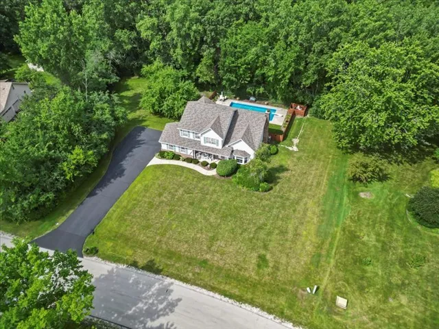 a view of a yard with plants