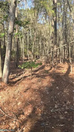 $52,000 | 0 Pepper Creek Road, Port Haywood, VA 23138