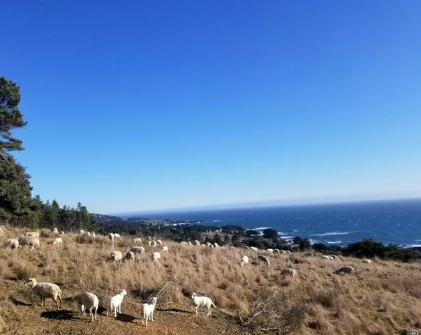 a view of city and ocean