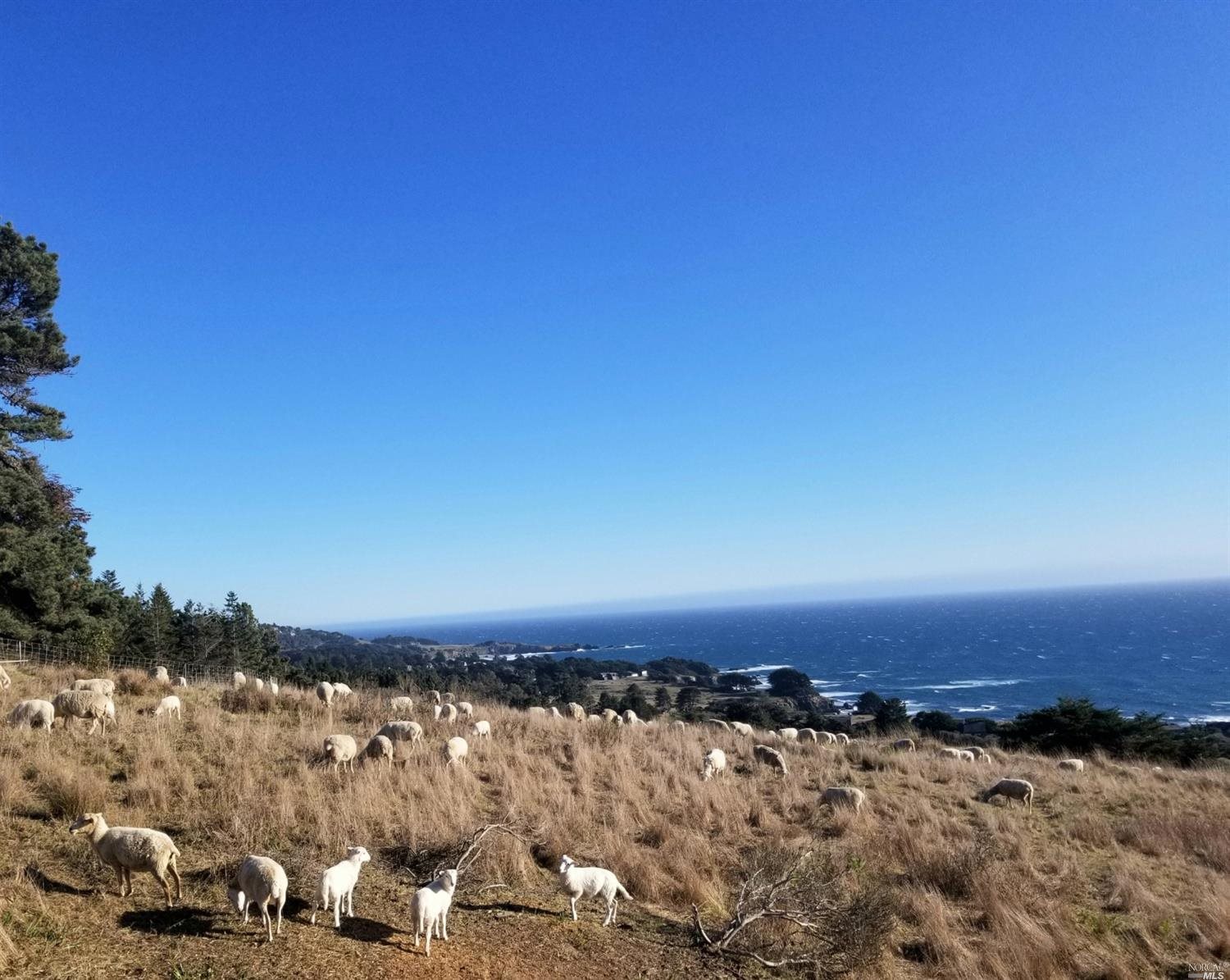 35427 Sea Gate Road The Sea Ranch, CA 95497 - Photo 15 of 31 a view of city and ocean