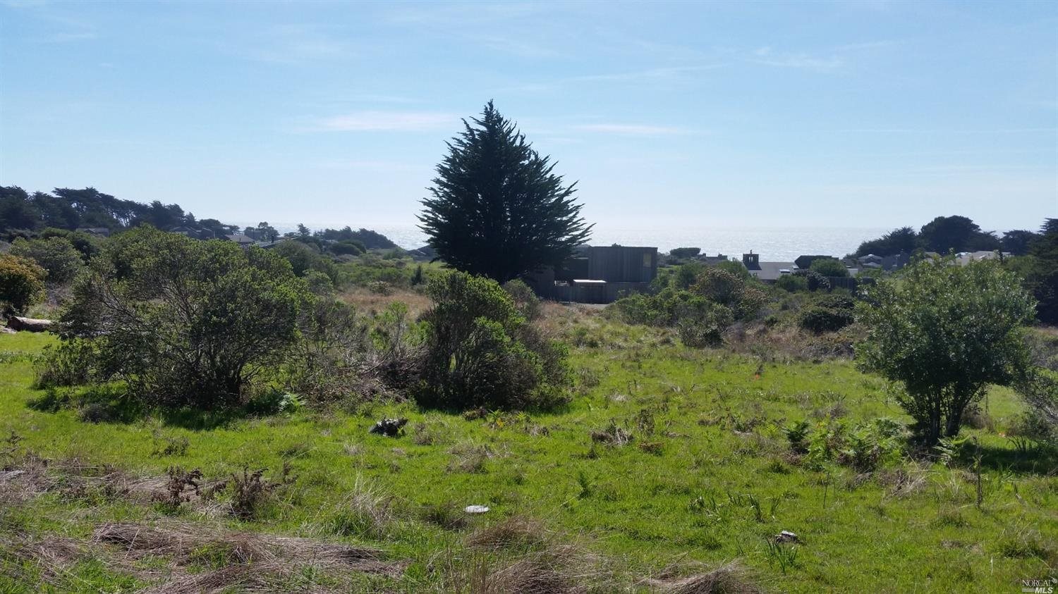 35427 Sea Gate Road The Sea Ranch, CA 95497 - Photo 5 of 31 a view of a lush green space