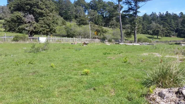 a view of outdoor space with deck and yard