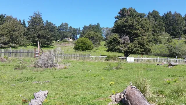 a view of backyard with green space
