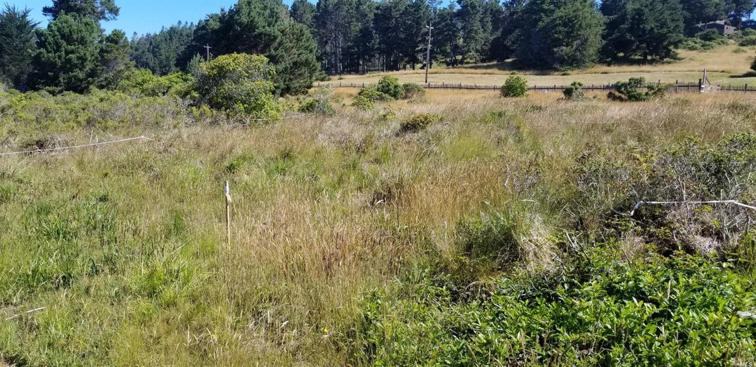 35427 Sea Gate Road The Sea Ranch, CA 95497 - Photo 8 of 31 a view of a yard with large trees