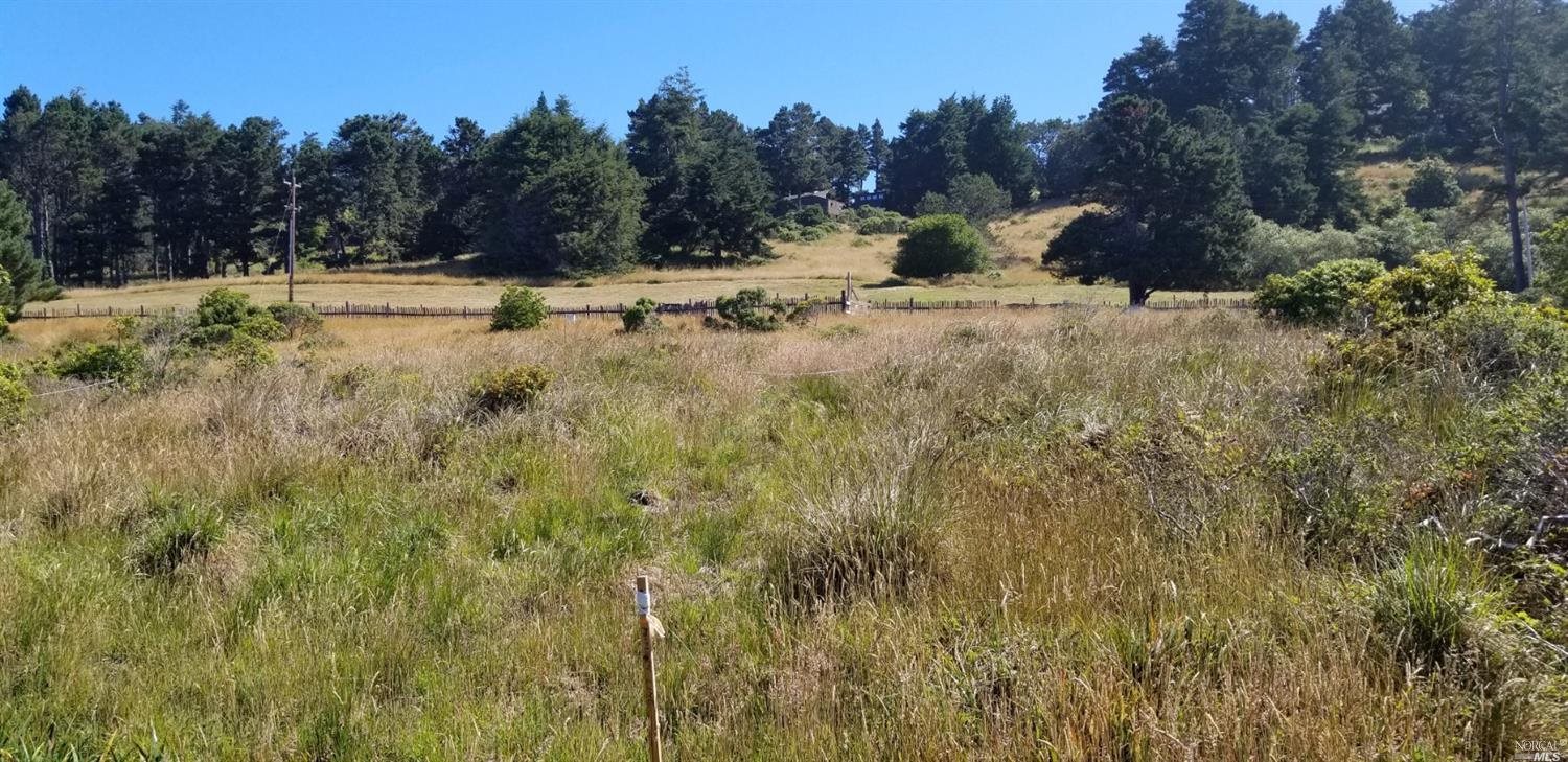 35427 Sea Gate Road The Sea Ranch, CA 95497 - Photo 9 of 31 a view of a dry yard with trees