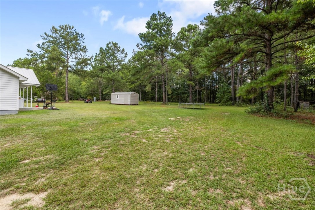 217 Bens Branch Road Newington, GA 30446 - Photo 28 of 30 Gallery Image 28