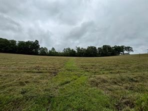 10053 Browntown Road Lindley, NY 14858 - Photo 11 of 13