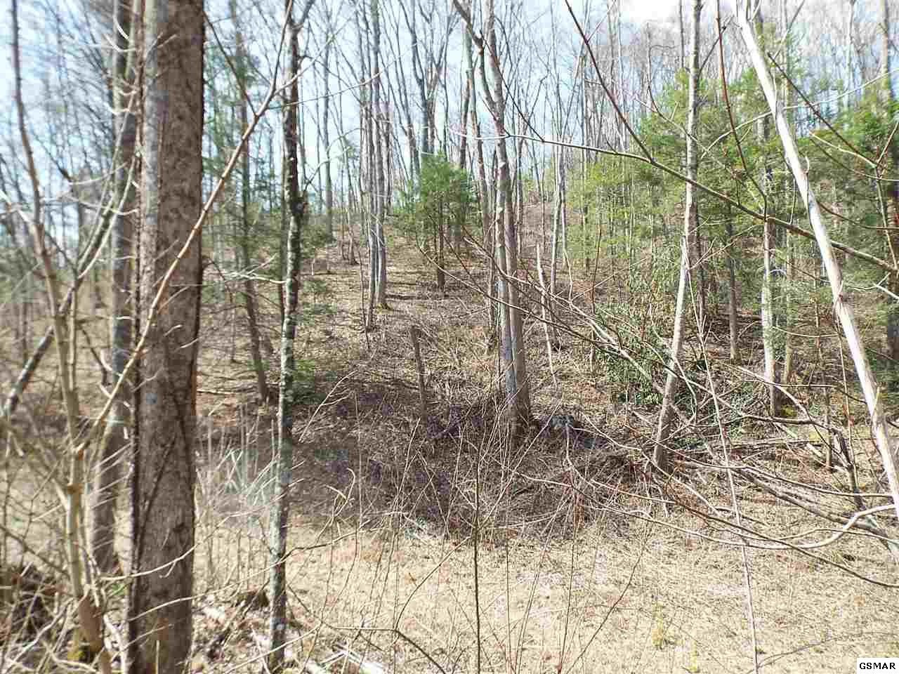 7903 Ground Hog Road Cosby, TN 37722 - Photo 24 of 35 Gallery Image 24