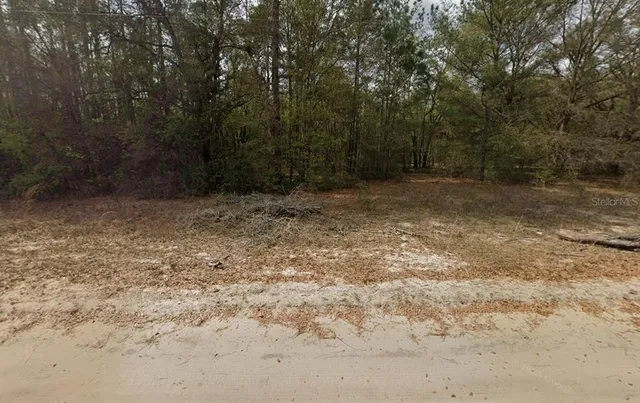 a view of a yard with a tree