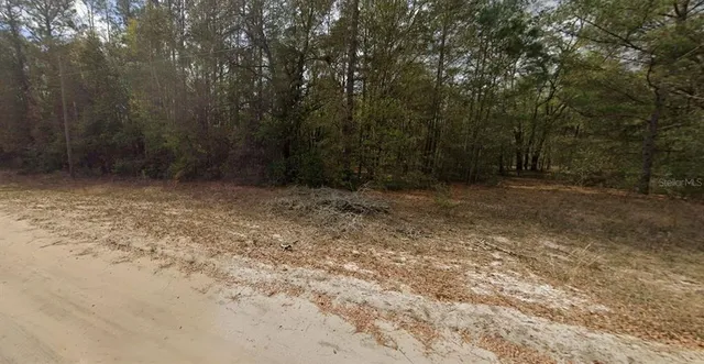 a view of a yard with trees