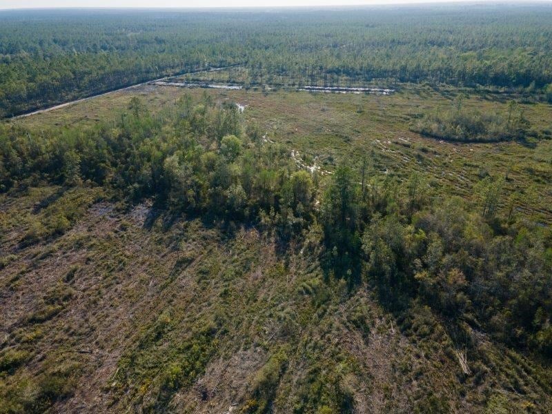 Lot 3 Copeland Road Lake Park, GA 31636 - Photo 22 of 48 Gallery Image 22