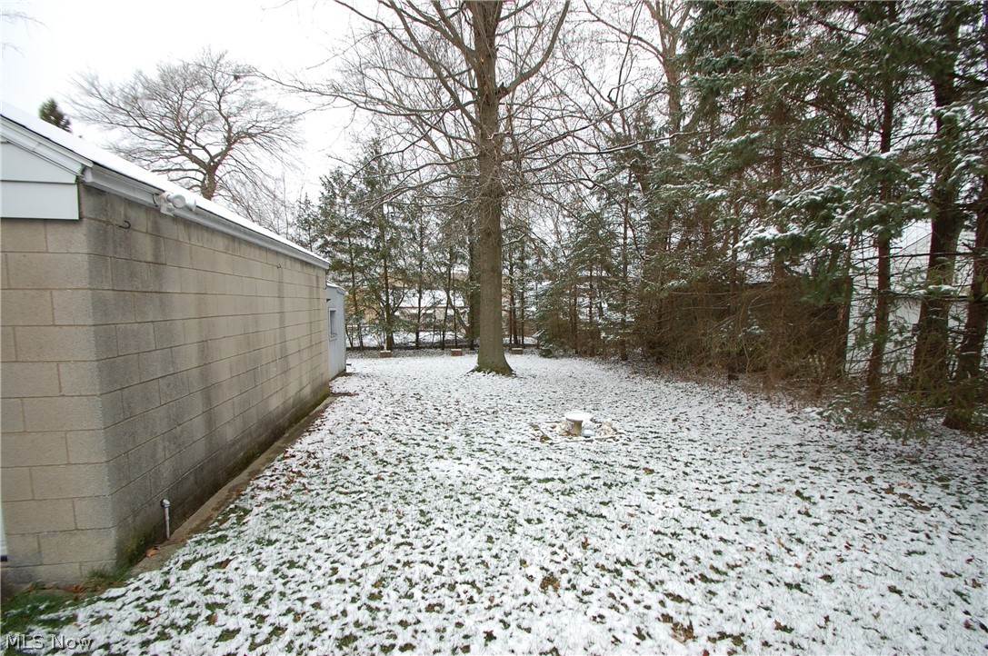 189 Creed Street Struthers, OH 44471 - Photo 3 of 14 View of yard layered in snow