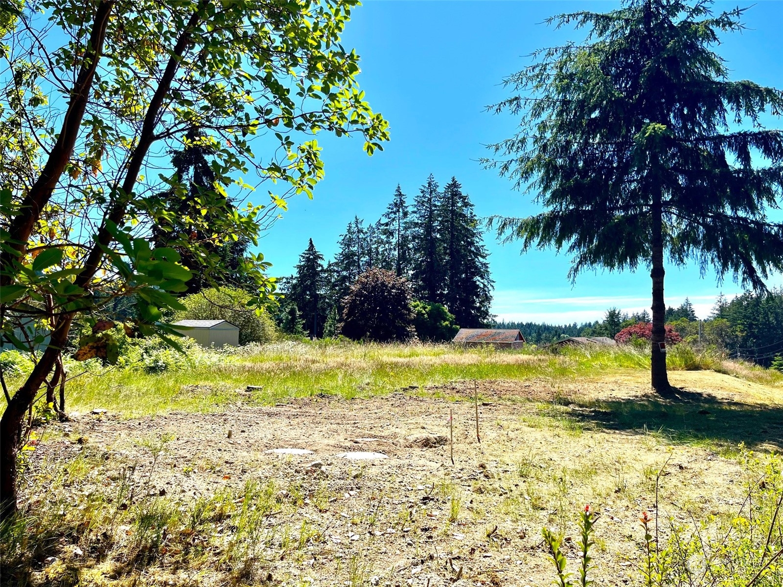 9206 Otso Point Road Anderson Island, WA 98303 - Photo 3 of 18