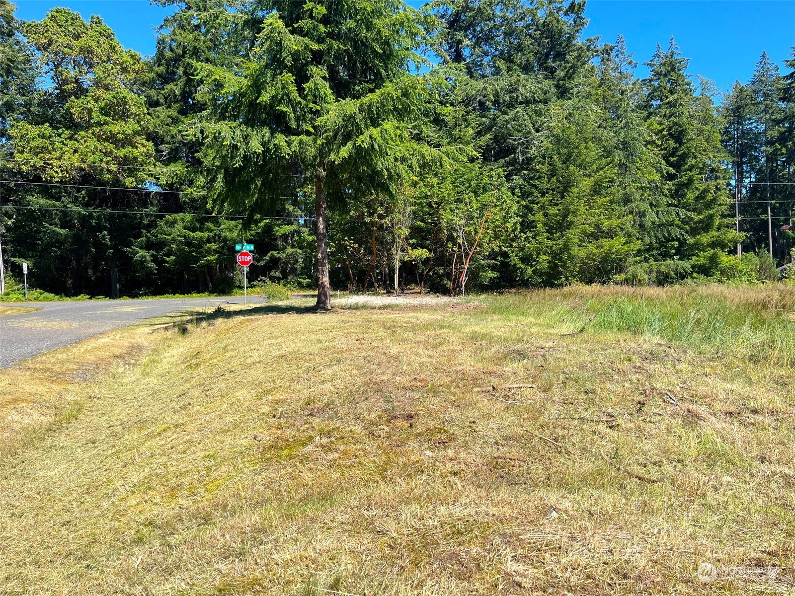 9206 Otso Point Road Anderson Island, WA 98303 - Photo 4 of 18