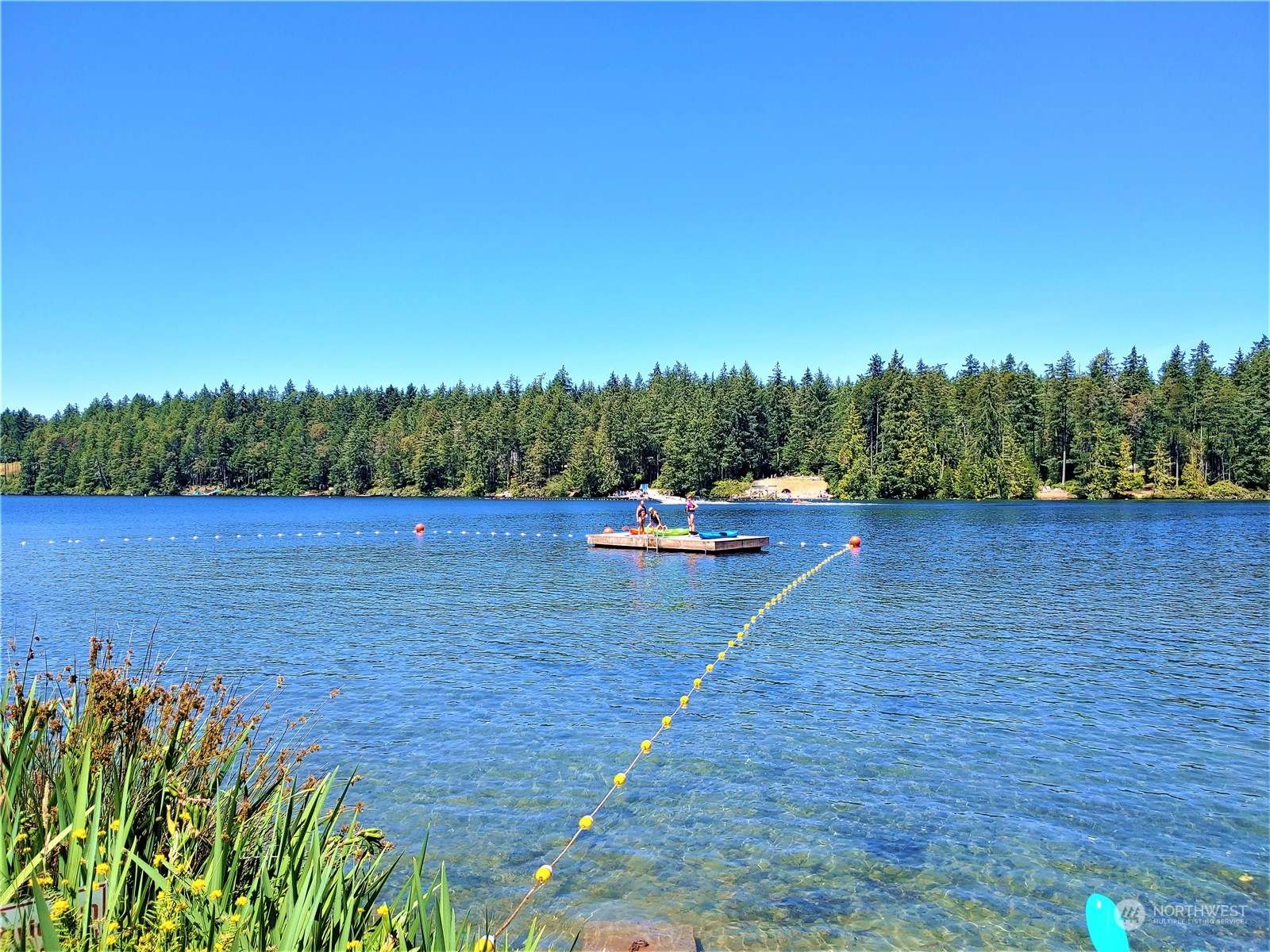 9206 Otso Point Road Anderson Island, WA 98303 - Photo 10 of 18
