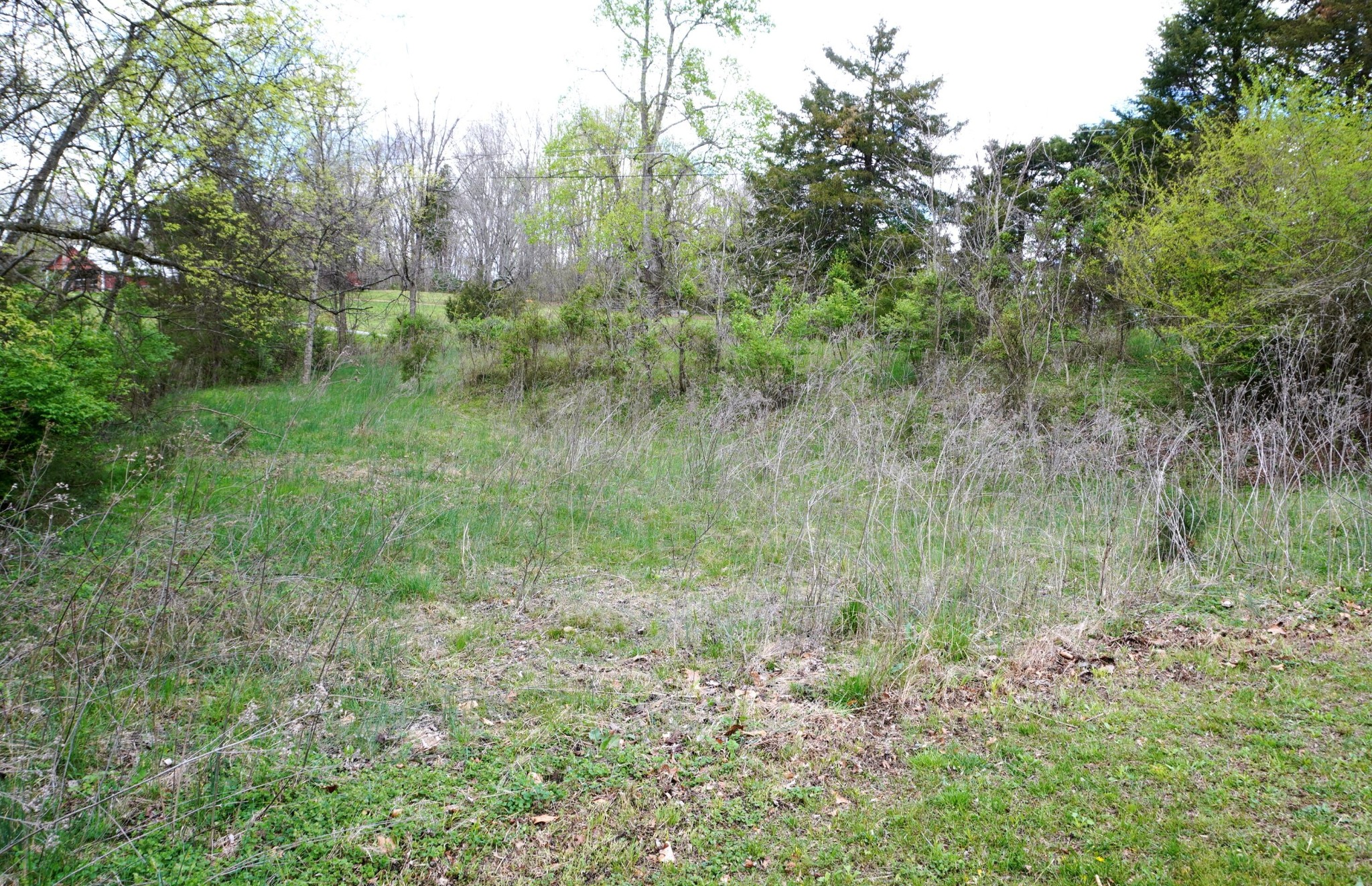 1301 Pratt Road Talbott, TN 37877 - Photo 16 of 31 Gallery Image 16
