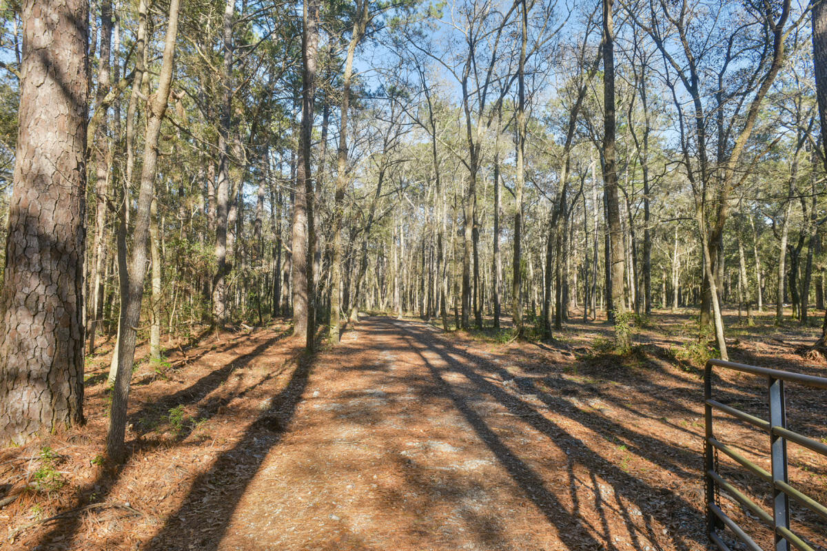 6050 Josie Ridge Road Wadmalaw Island, SC 29487 - Photo 4 of 50 DSC_4634