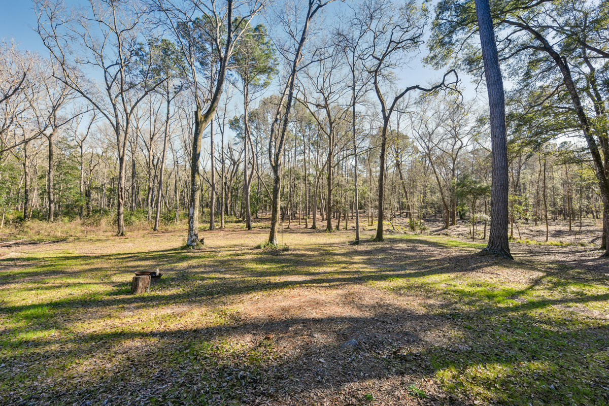 6050 Josie Ridge Road Wadmalaw Island, SC 29487 - Photo 36 of 50 DSC_4557