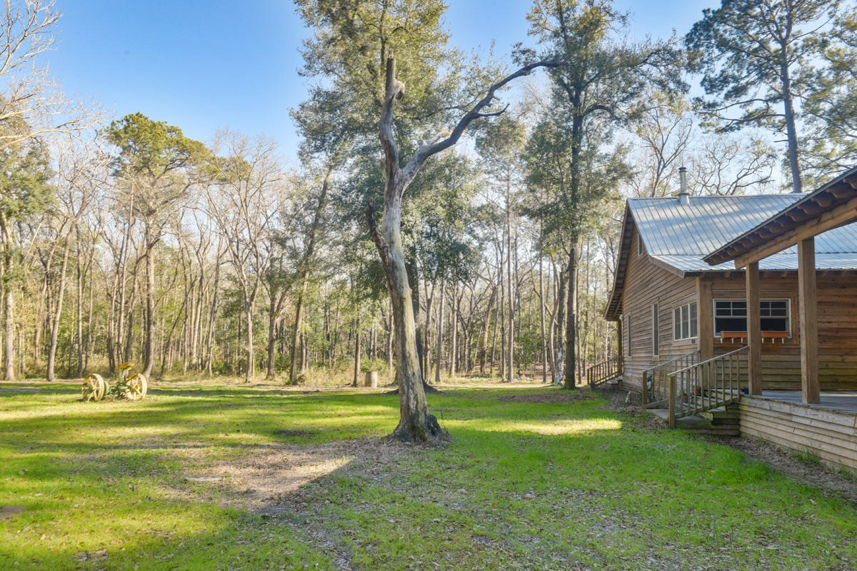 6050 Josie Ridge Road Wadmalaw Island, SC 29487 - Photo 38 of 50 DSC_4615