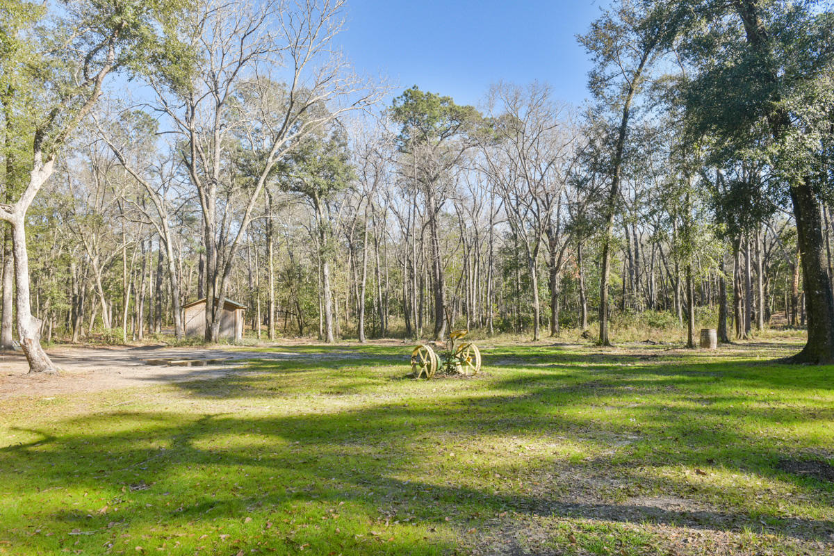 6050 Josie Ridge Road Wadmalaw Island, SC 29487 - Photo 39 of 50 DSC_4617