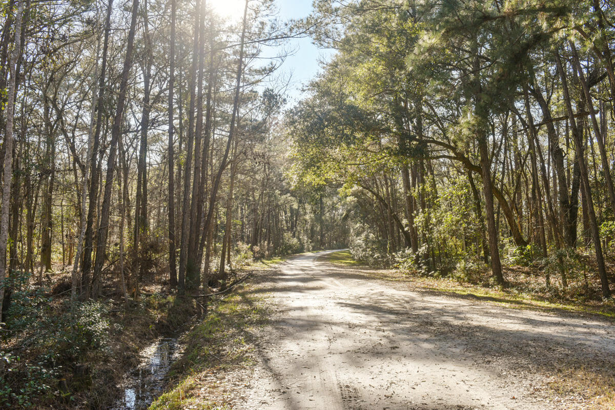 6050 Josie Ridge Road Wadmalaw Island, SC 29487 - Photo 40 of 50 DSC_4638