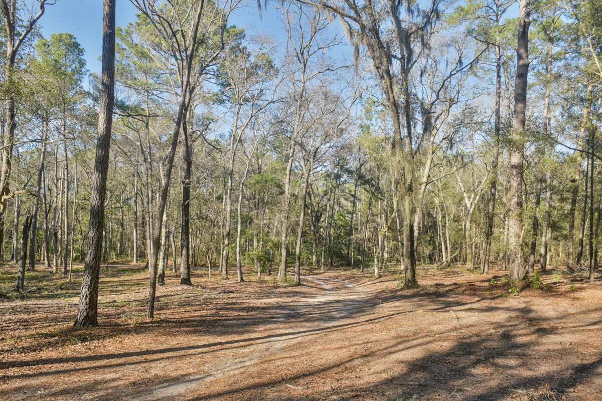 6050 Josie Ridge Road Wadmalaw Island, SC 29487 - Photo 5 of 50 DSC_4632