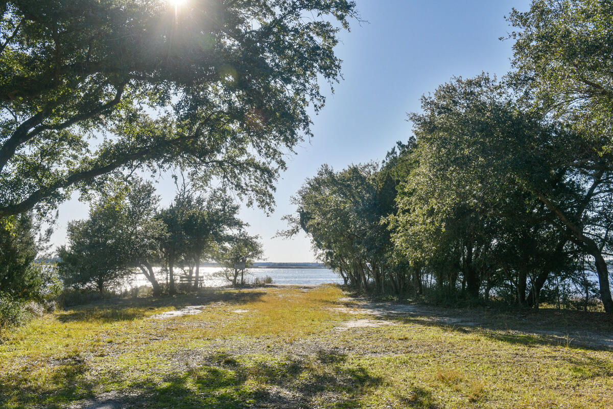 6050 Josie Ridge Road Wadmalaw Island, SC 29487 - Photo 41 of 50 DSC_4642