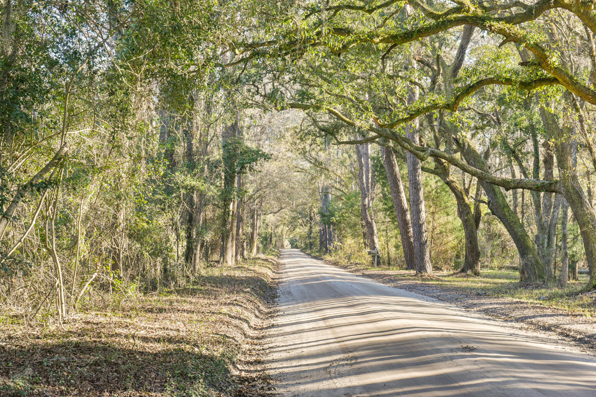 6050 Josie Ridge Road Wadmalaw Island, SC 29487 - Photo 44 of 50 DSC_4655