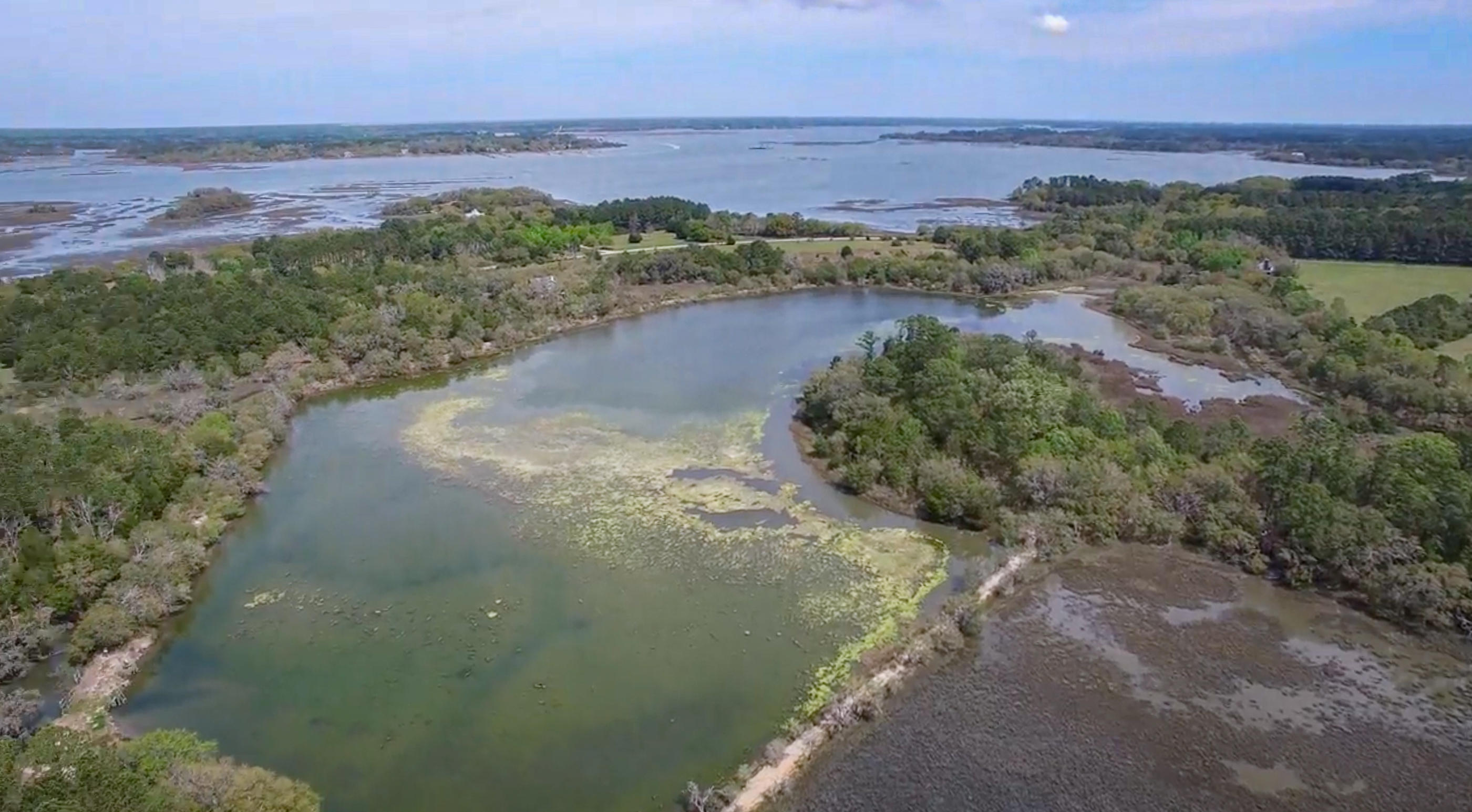 6050 Josie Ridge Road Wadmalaw Island, SC 29487 - Photo 45 of 50 SaltwaterLakeMartinsPoint1