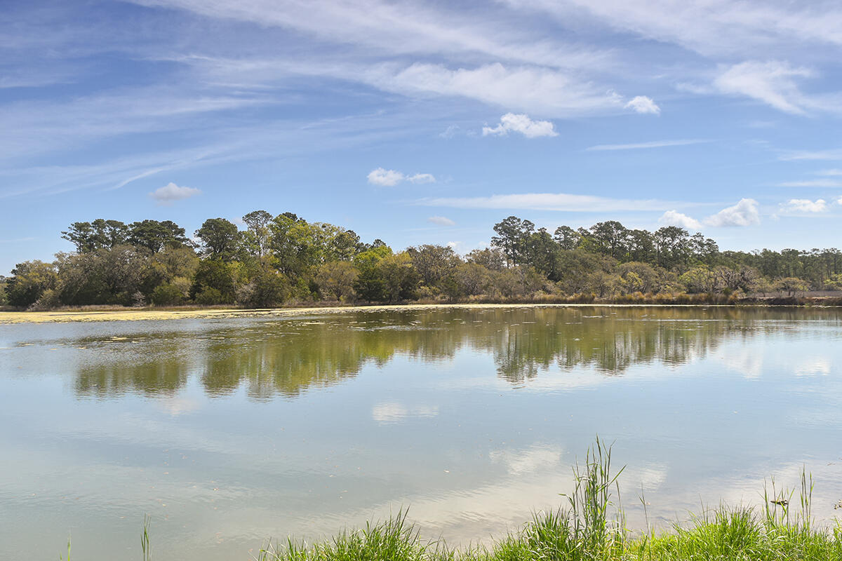 6050 Josie Ridge Road Wadmalaw Island, SC 29487 - Photo 47 of 50 SaltwaterLakeMartinsPoint3