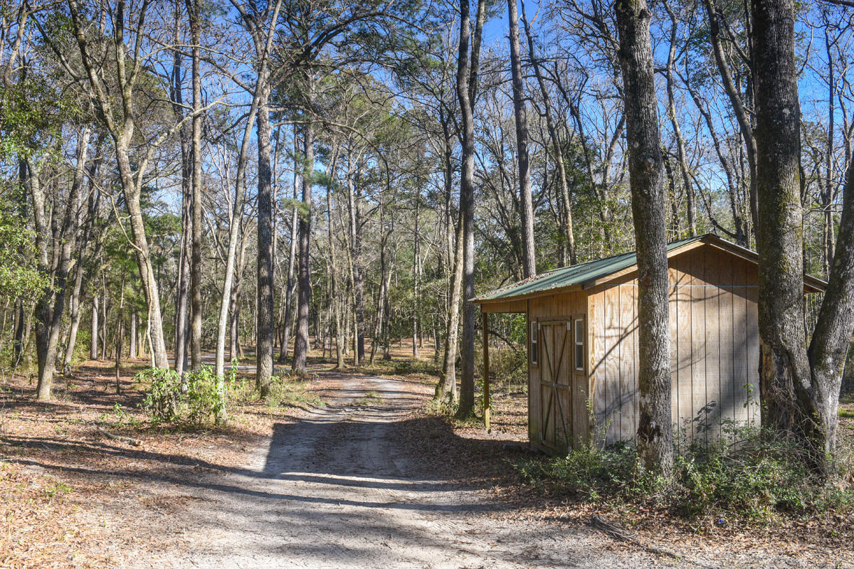 6050 Josie Ridge Road Wadmalaw Island, SC 29487 - Photo 7 of 50 DSC_4626