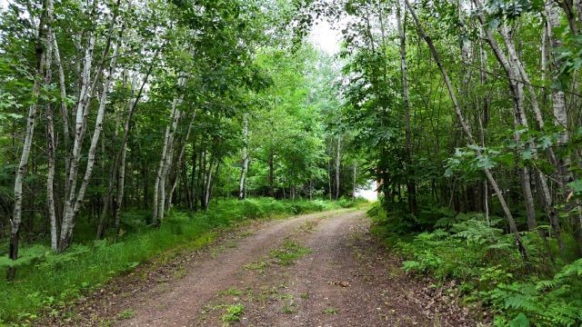 6565 Lynch Bridge Road Siren, WI 54872 - Photo 60 of 60