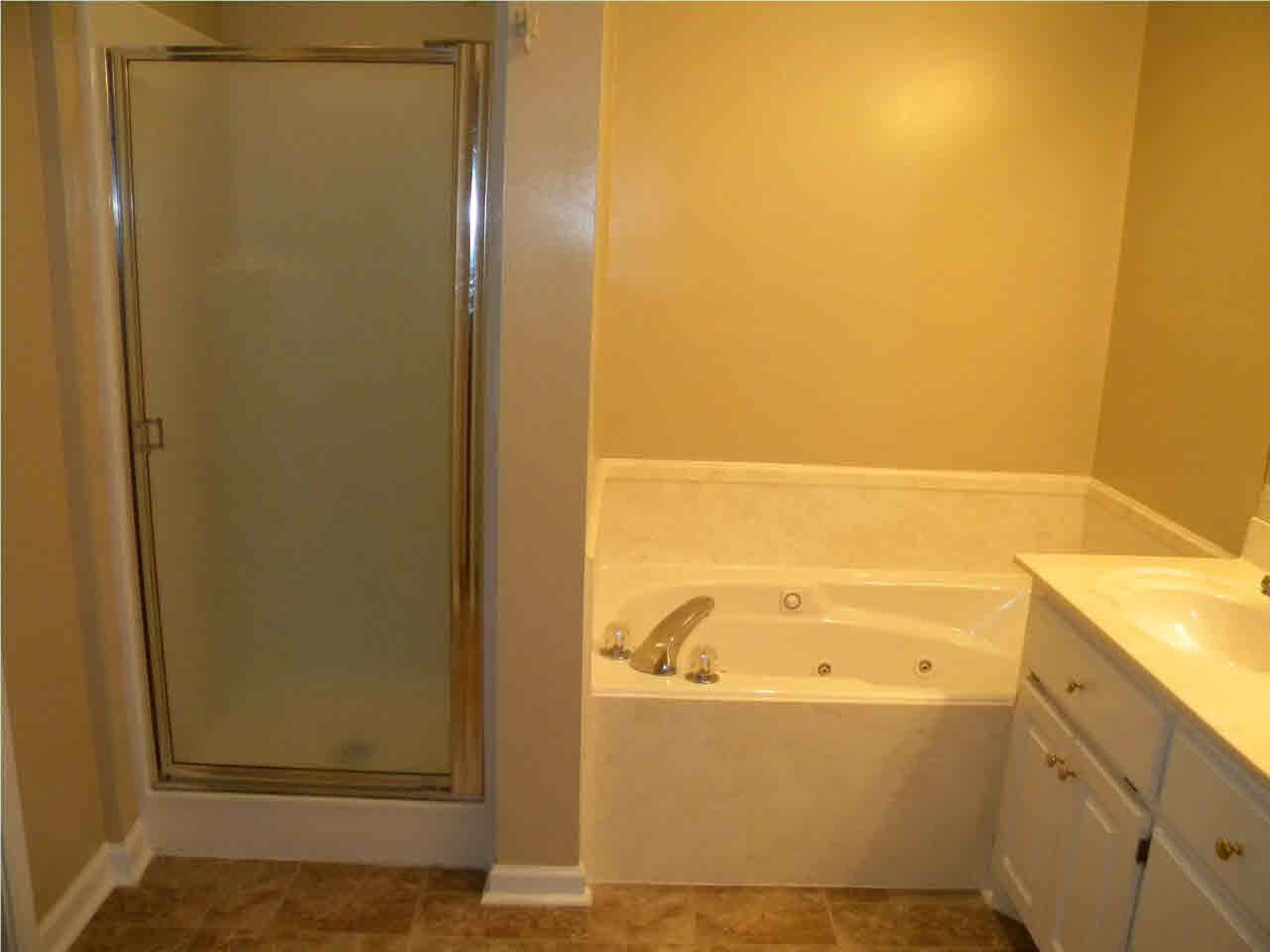 728 Holly Bush Road Brandon, MS 39047 - Photo 6 of 20 Master Bathroom alternate view