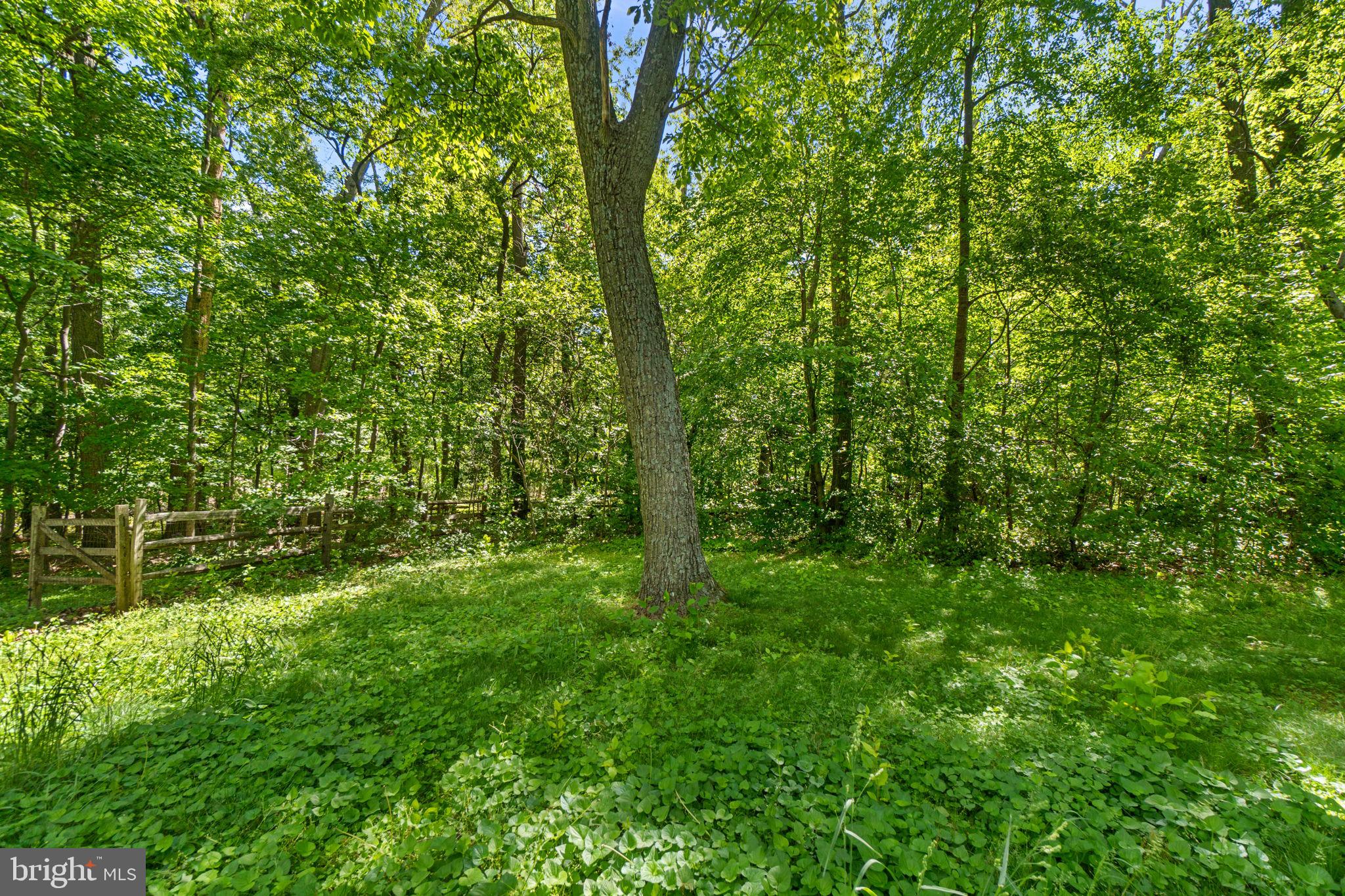 4627 Crossroad Schoolhouse Road Manchester, MD 21102 - Photo 39 of 42