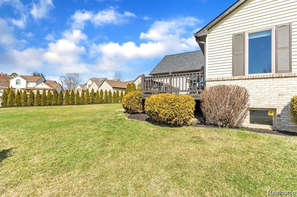 9769 Stark Road Livonia, MI 48150 - Photo 54 of 64 Wall of arborvitaes!