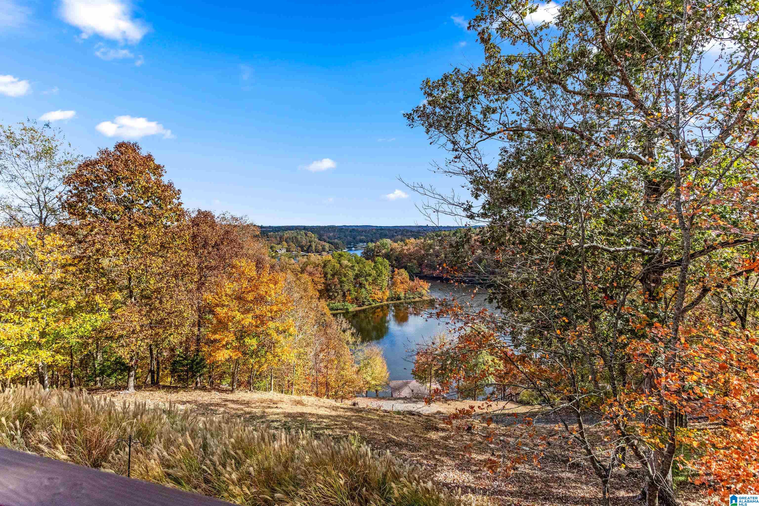 55 Lakeshore Loop Oneonta, AL 35121 - Photo 25 of 48