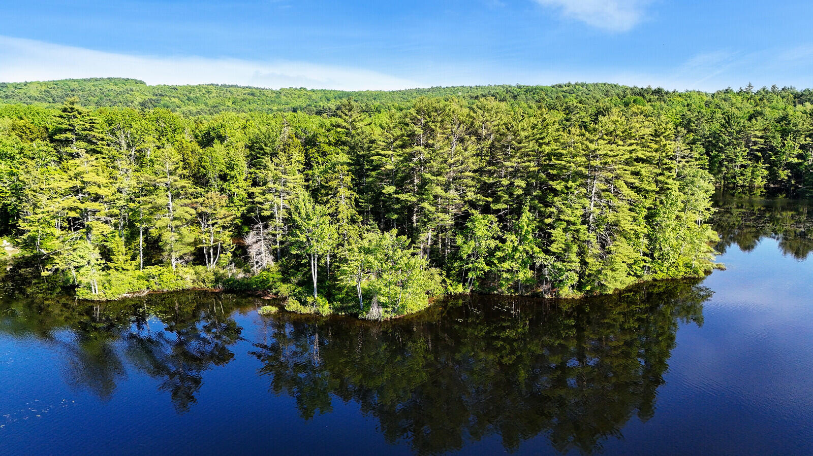 230 250 290 Beaver Ridge Road Palermo, ME 04354 - Photo 16 of 19 Pond View