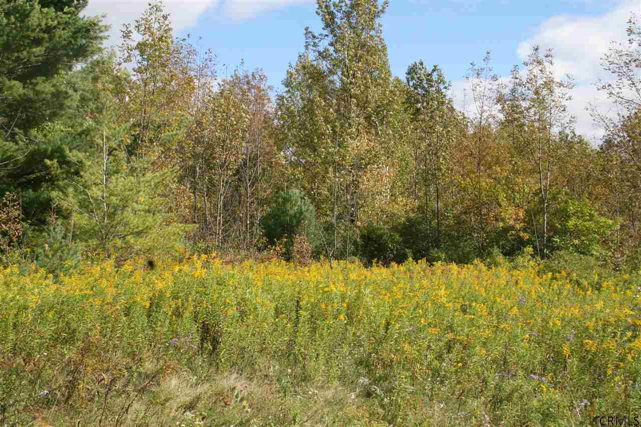 0 Rt 360 Medusa, NY 12120 - Photo 4 of 5 Photo 4