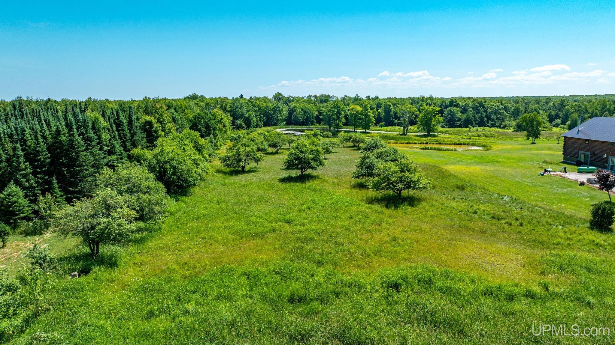 Tbd Tbd Bellaire Road Baraga, MI 49908 - Photo 14 of 49