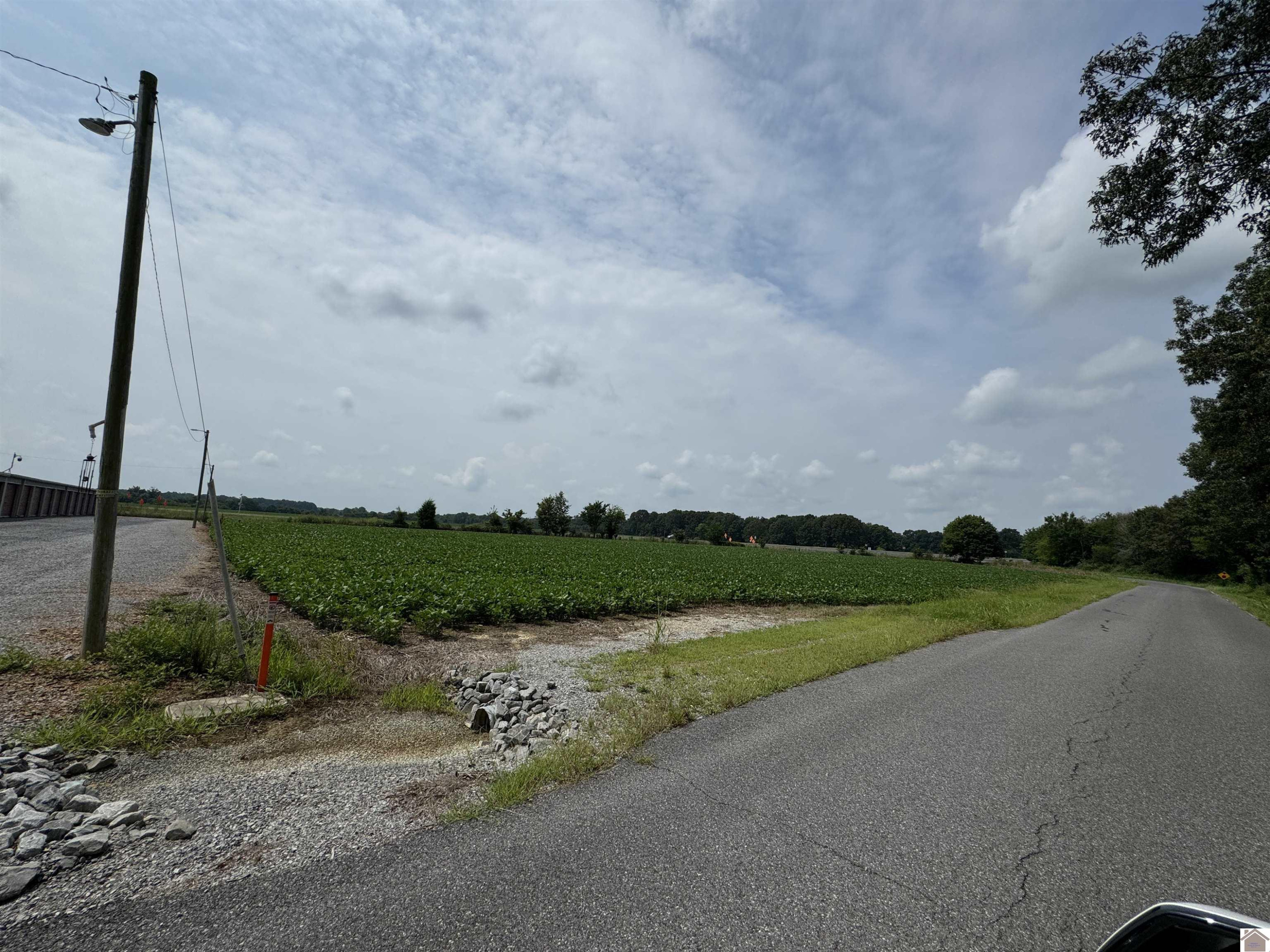 0 Spur & Hitte Road Benton, KY 42025 - Photo 8 of 13 Photo 8