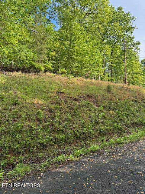 Lot 543 Rockview Dr Spring Spring City, TN 37381 - Photo 2 of 4 IMG_8986
