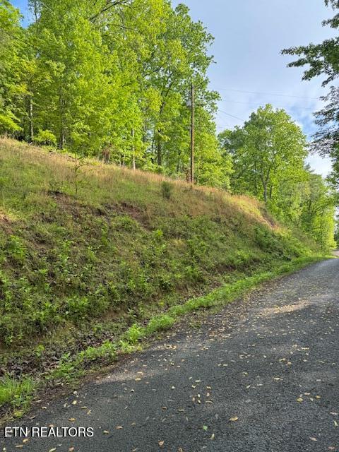 Lot 543 Rockview Dr Spring Spring City, TN 37381 - Photo 3 of 4 IMG_8987