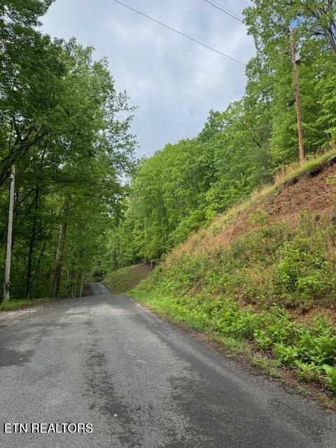 Lot 543 Rockview Dr Spring Spring City, TN 37381 - Photo 4 of 4 IMG_8988