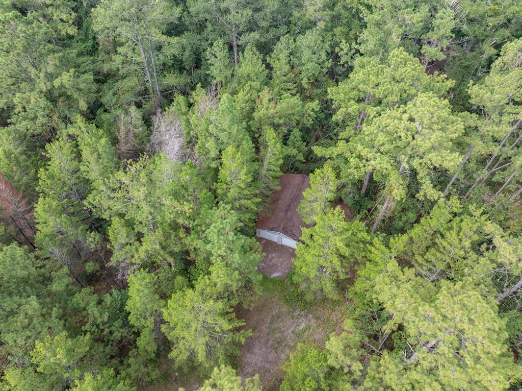 22205 North County Road 349 O'Brien, FL 32071 - Photo 52 of 68