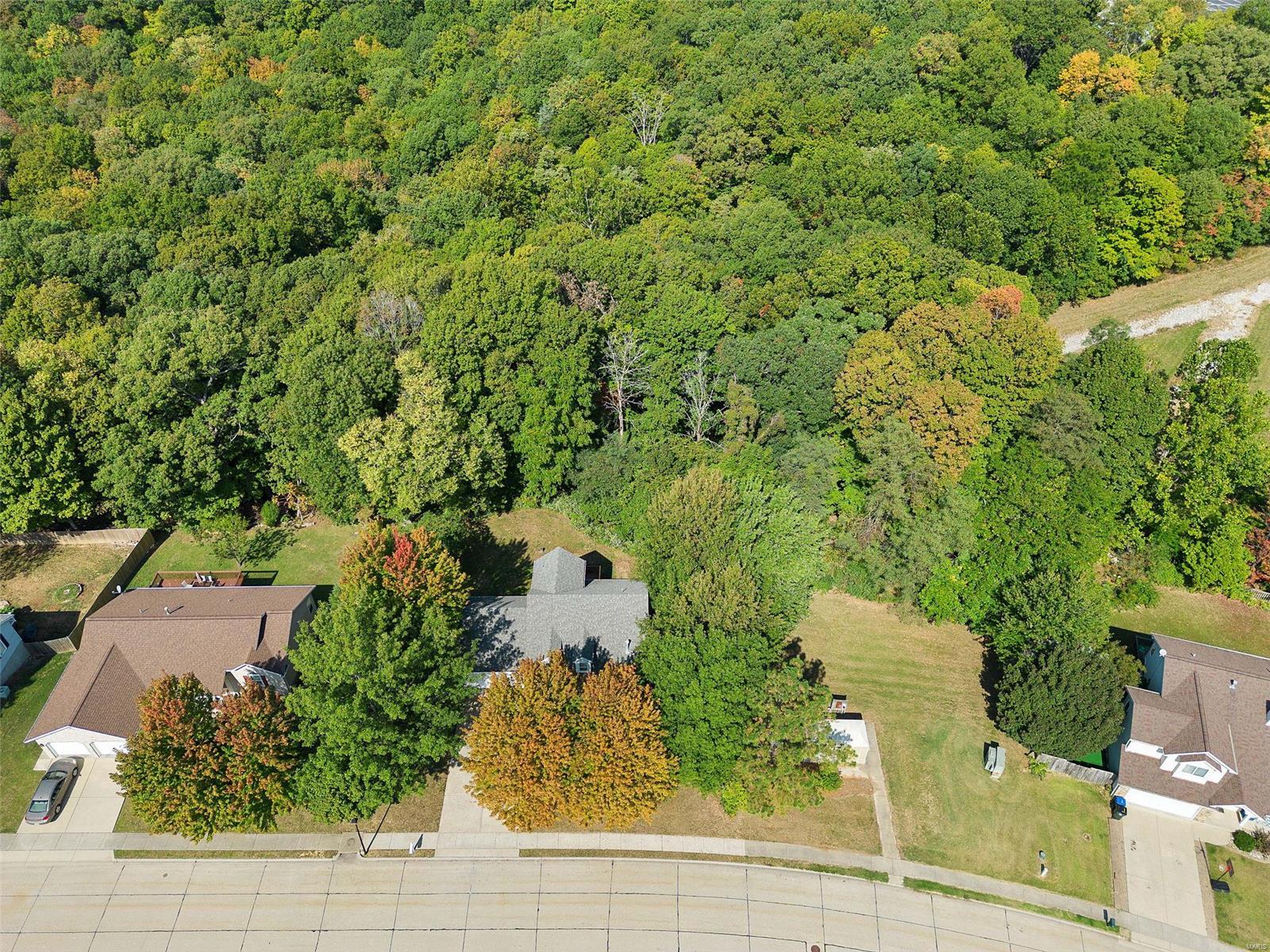 109 West Hunters Ridge Valmeyer, IL 62295 - Photo 49 of 51