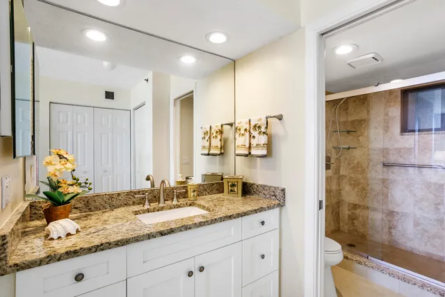 a bathroom with a granite countertop sink a toilet and shower