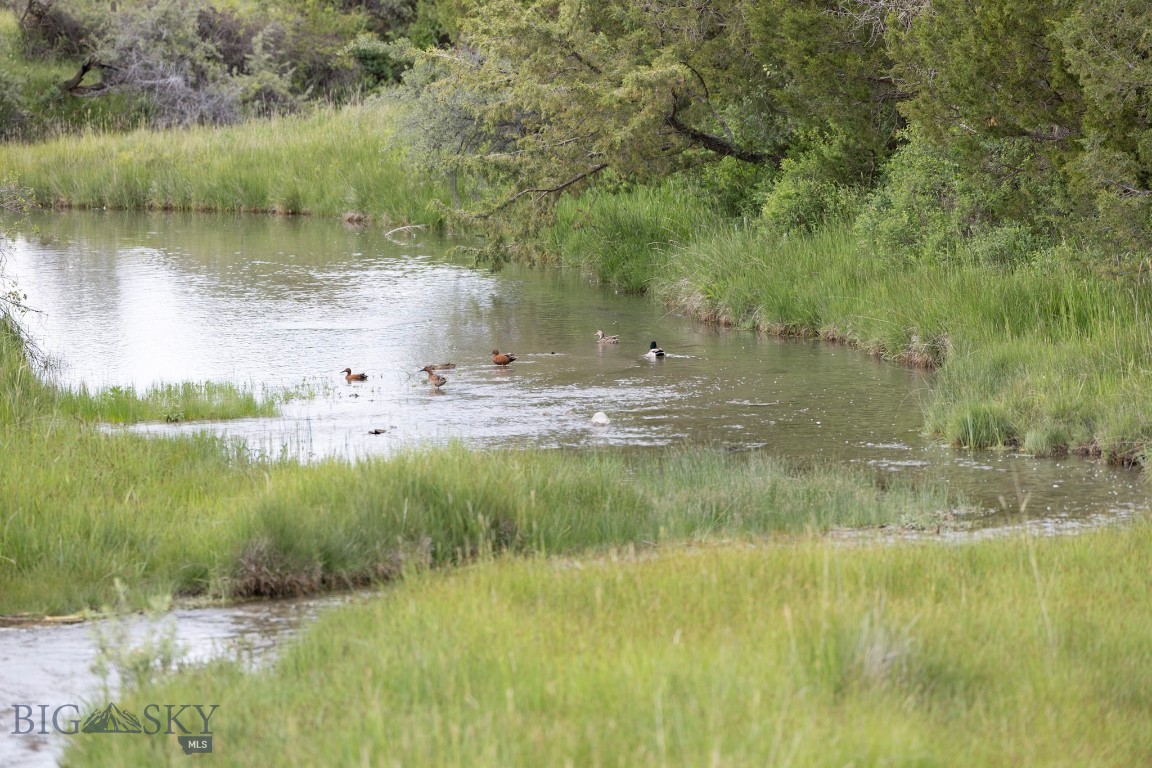 803 River Road Toston, MT 59643 - Photo 7 of 21 Gallery Image 7