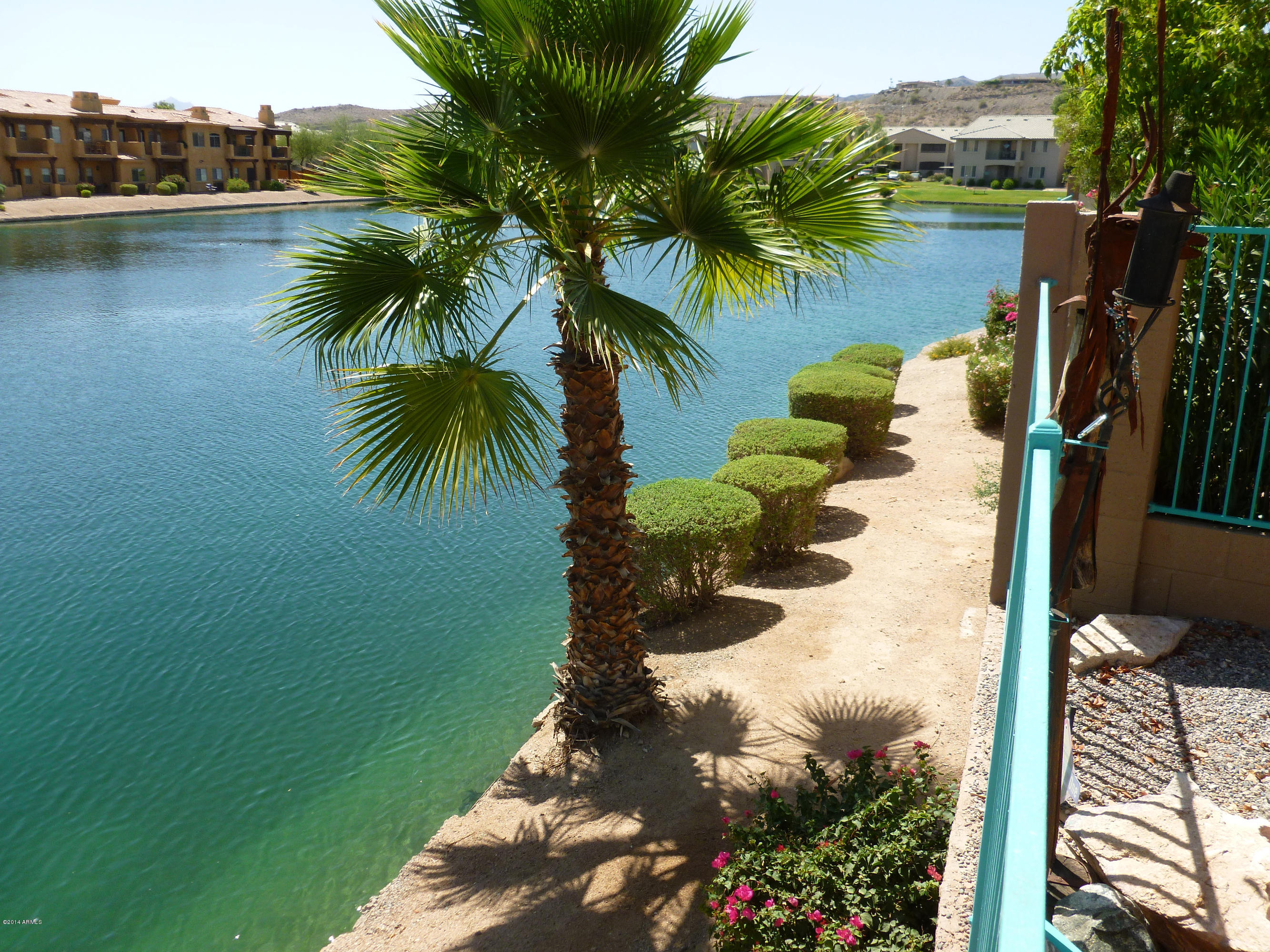 1135 East Frye Road Phoenix, AZ 85048 - Photo 3 of 60 Path area around lake behind property